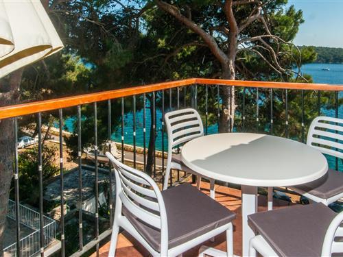 Feriehus / leilighet - 3 personer -  - Mali Lošinj - 51550 - Mali Lošinj