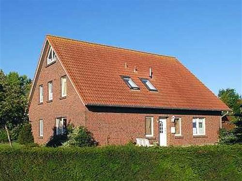 Feriehus / leilighet - 5 personer -  - Mühlenstrich - 26427 - Neuharlingersiel