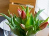 Billede 4