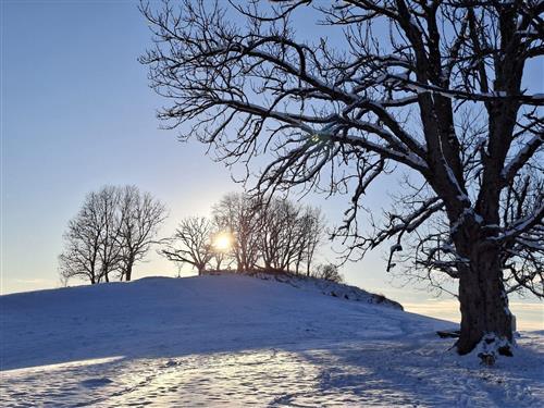 Ferielejlighed - 2 personer -  - Auf der Höhe - 37444 - Sankt Andreasberg