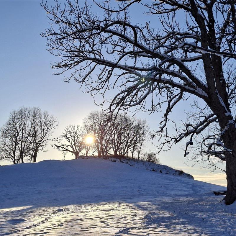 Ferielejlighed - 2 personer -  - Auf der Höhe - 37444 - Sankt Andreasberg