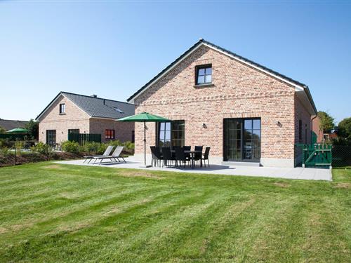 Feriehus - 8 personer -  - Westermarkelsdorf - 23769 - Westermarkelsdorf