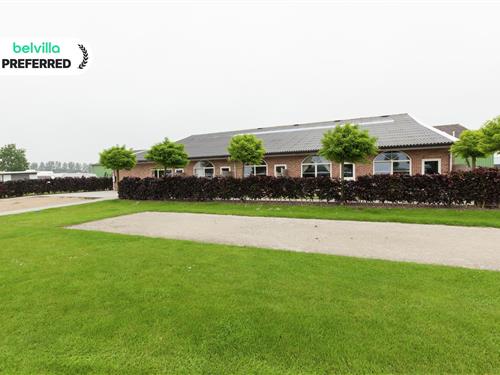 Holiday apartment - 5 persons -  - 4503GB - Groede