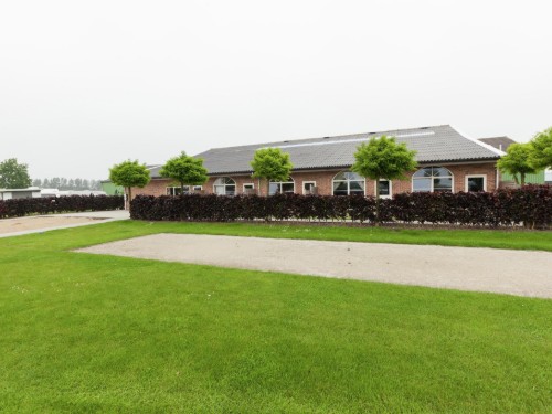 Ferielejlighed - 5 personer -  - 4503GB - Groede