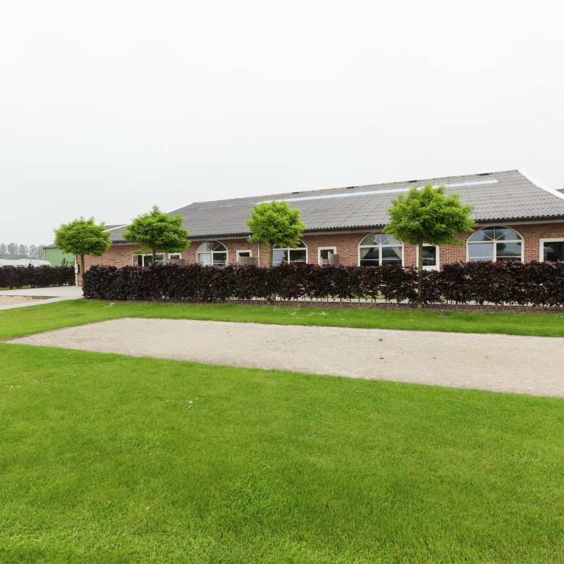 Ferielejlighed - 5 personer -  - 4503GB - Groede