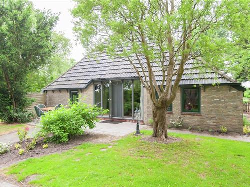 Holiday Home/Apartment - 15 persons -  - 8434NB - Waskemeer