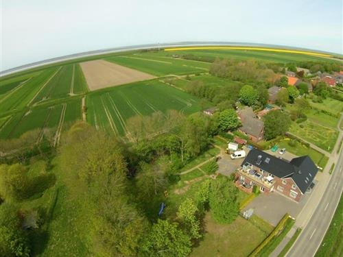 Ferielejlighed - 2 personer -  - Störtebekerstraße - 26553 - Dornum