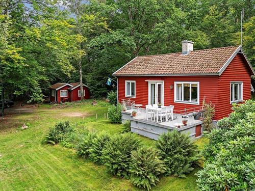 Ferienhaus - 5 Personen -  - Björkhällsbacken - Hässleholm - 281 46 - Tormestorp