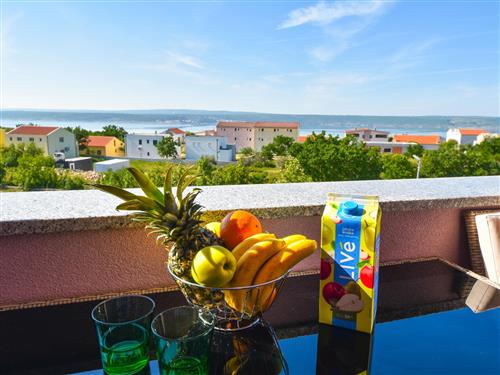 Holiday apartment - 6 persons -  - Maslenica - 23243