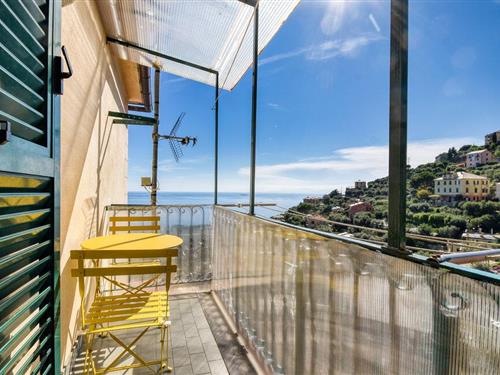 Ferielejlighed - 4 personer -  - Via alla Chiesa - 16030 - Pieve Ligure