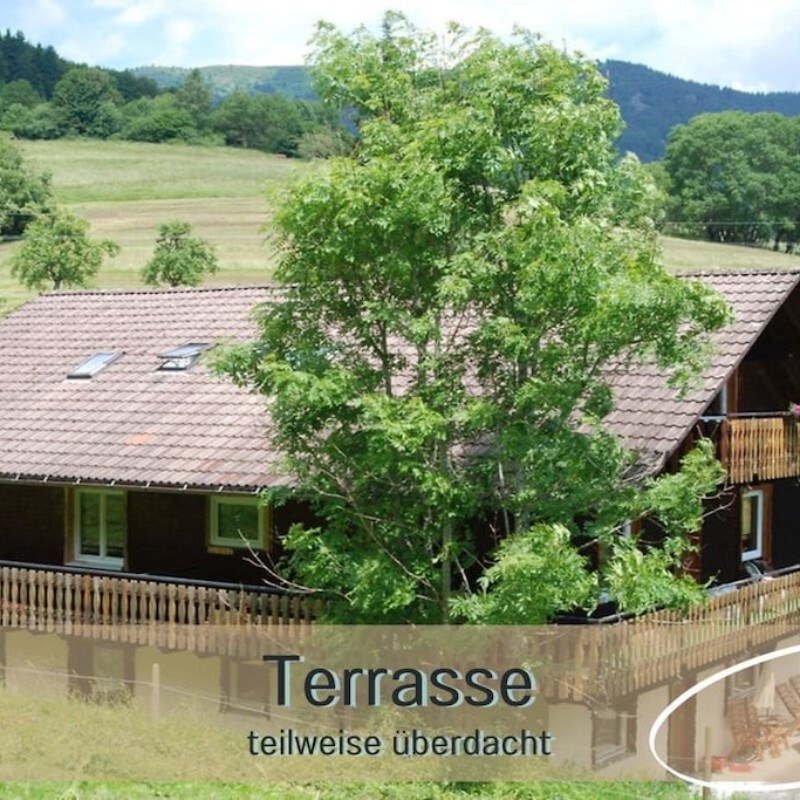 Sommerhus - 3 personer -  - 79692 - Kleines Wiesental - Neuen