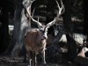 Bild 20