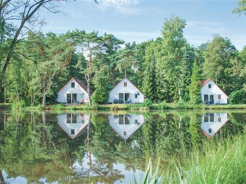 Semesterhus/Semesterlägenhet - 6 personer -  - Vledderweg - 8381 AB - Vledder