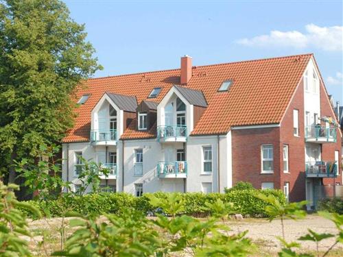 Holiday Home/Apartment - 3 persons -  - Dünenweg - 23946 - Boltenhagen