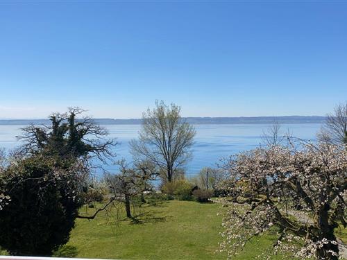 Ferieleilighet - 4 personer -  - Neuhauserweg - 88709 - Hagnau Am Bodensee