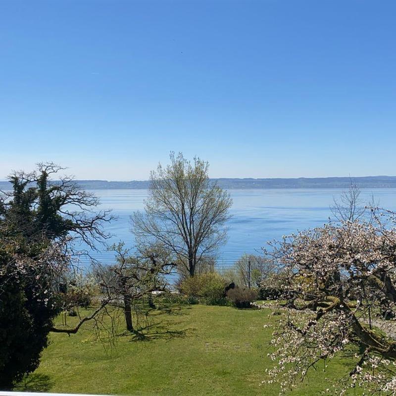 Ferielejlighed - 4 personer -  - Neuhauserweg - 88709 - Hagnau Am Bodensee