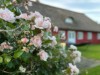 Billede 27 - Grund