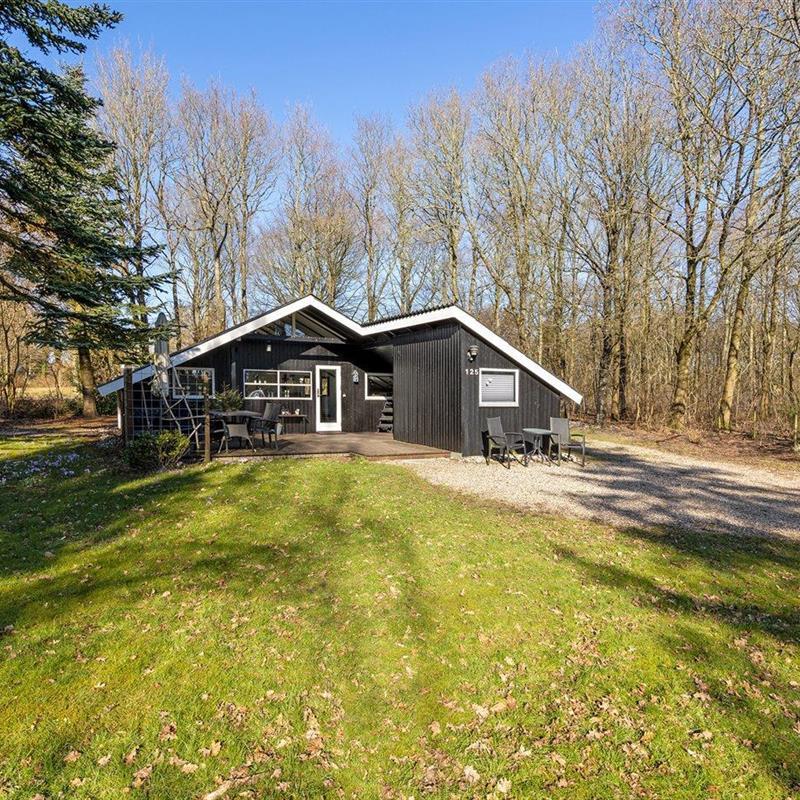 Ferienhaus - 4 Personen -  - Østmarken - Arrild - 6520 - Toftlund