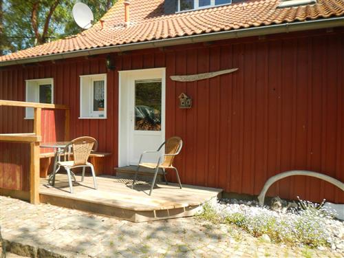 Ferienwohnung - 4 Personen -  - Wiesenweg - 18565 - Vitte/Insel Hiddensee
