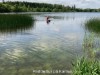 Billede 38 - Område
