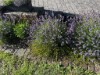 Bild 26