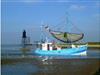 Billede 24