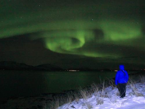 Feriehus / leilighet - 6 personer -  - Lenangsveien - Lyngen - 9068 - Nord-Lenangen