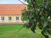Image 51 - View