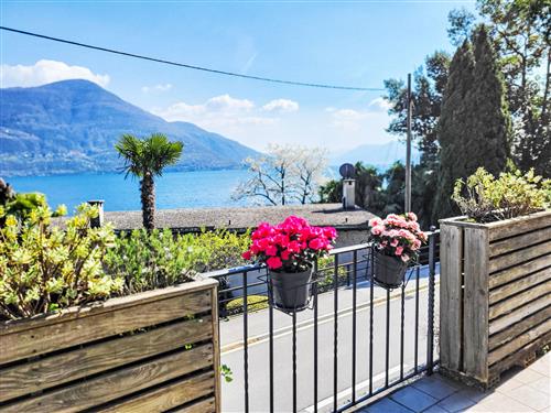 Holiday apartment - 3 persons -  - Brissago - 6614