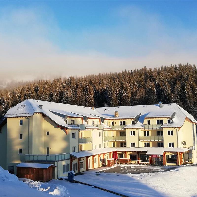 Ferielejlighed - 5 personer -  - Passhöhe - 79868 - Feldberg