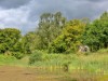 Bilde 3 - Ude