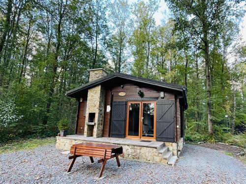 Sommerhus - 4 personer -  - 5670 - Viroinval