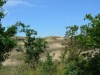 Bild 19