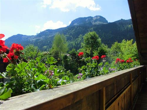 Ferieleilighet - 3 personer -  - Zum Stegacker - 87541 - Bad Hindelang