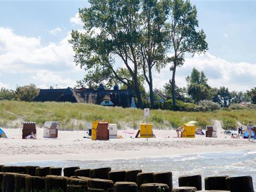 Ferielejlighed - 2 personer -  - Am Strom - 18347 - Ostseebad Ahrenshoop