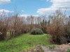 Bild 17