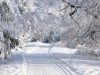 Bild 18 - Ude