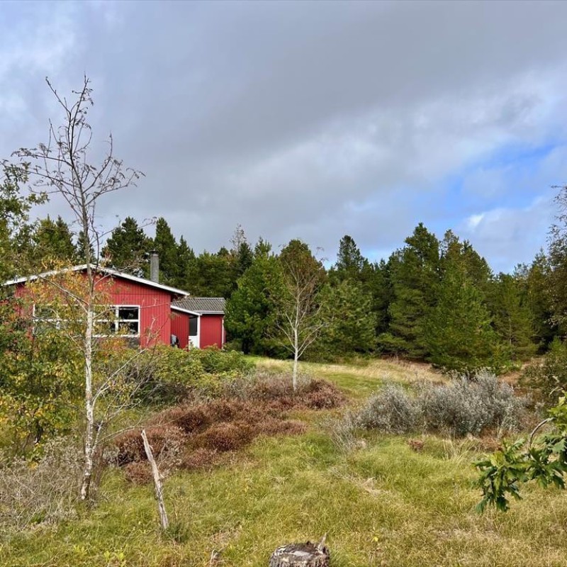 Ferienhaus - 6 Personen -  - Vestergårdsvej - Sönderstrand - 6792 - Römö