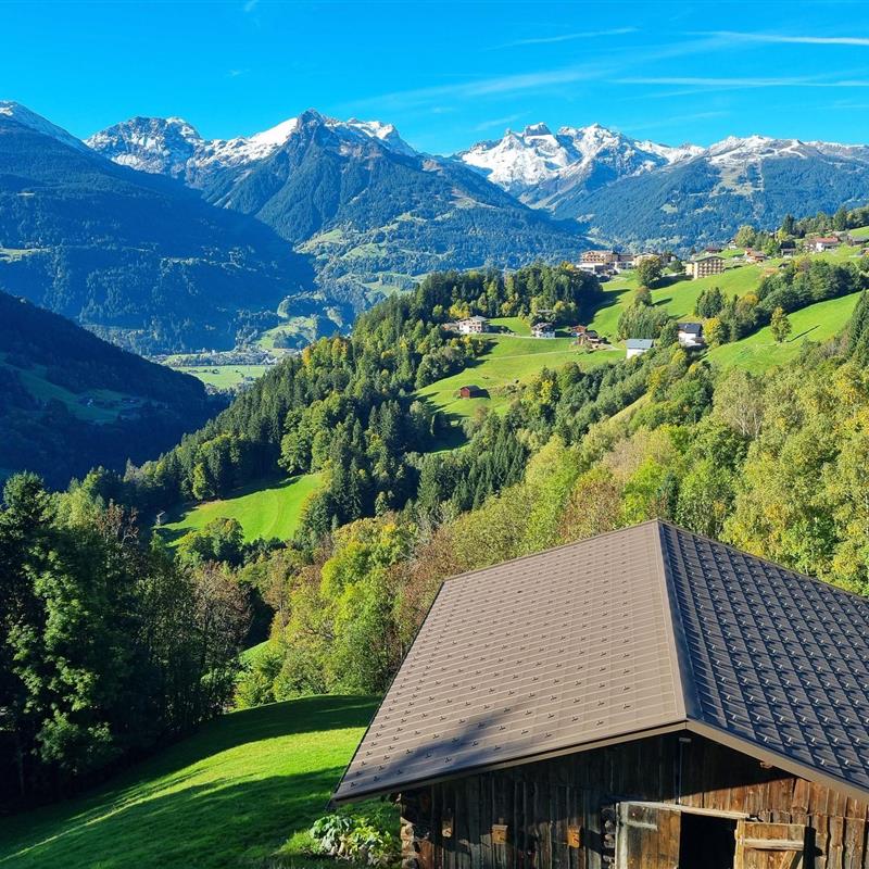 Ferielejlighed - 4 personer -  - Innerbergstr. - 6781 - Bartholomäberg