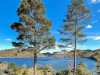 Bild 20 - Blick über's Wasser