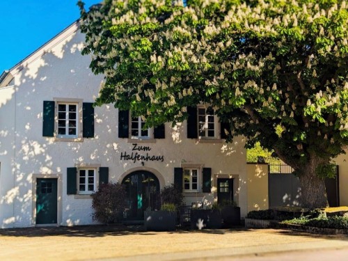 Ferielejlighed - 4 personer -  - Saarburger Str. - 54441 - Ayl-Biebelhausen