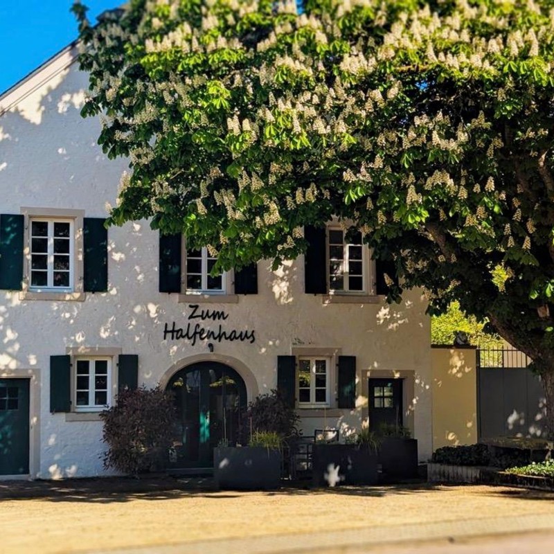 Ferielejlighed - 4 personer -  - Saarburger Str. - 54441 - Ayl-Biebelhausen