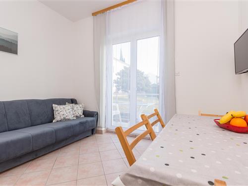 Holiday apartment - 4 persons -  - Put Primorja - Biograd-Sv.Filip I Jakov - 23207 - Sveti Filip I Jakov
