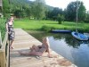 Billede 33