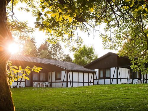 Feriehus - 5 personer -  - Im Grafenwald - 54550 - Daun