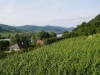 Bilde 4