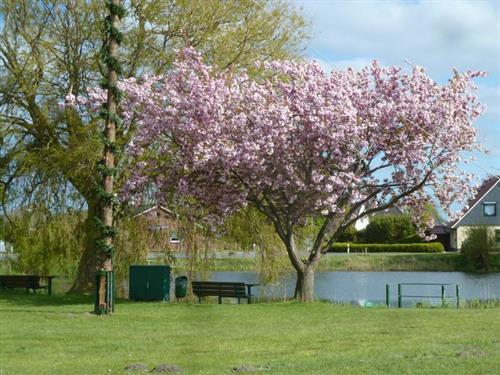 Feriehus - 4 personer -  - Wehlstrift - 27632 - Wurster Nordseeküste