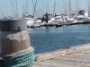 Billede 6