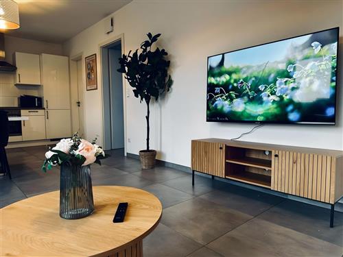 Holiday apartment - 5 persons -  - Nordhorn - 48529