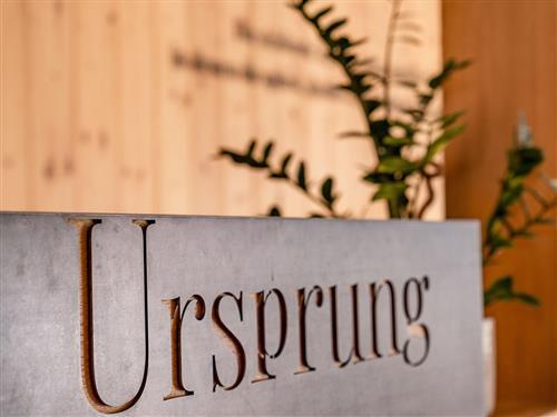 Ferielejlighed - 6 personer -  - Erzherzog-Johann-Straße - 8970 - Schladming